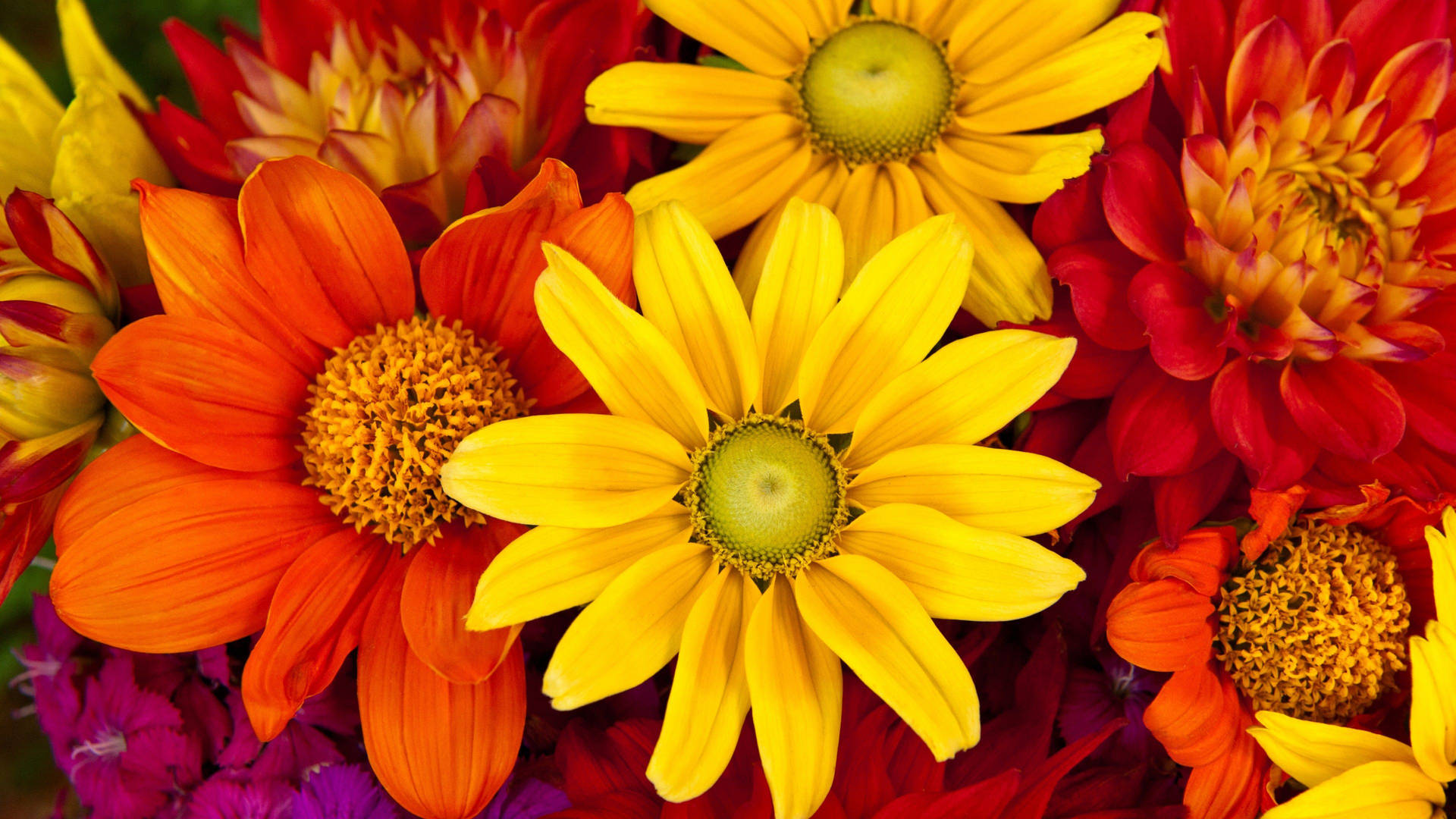 Flowers 4K 桌布