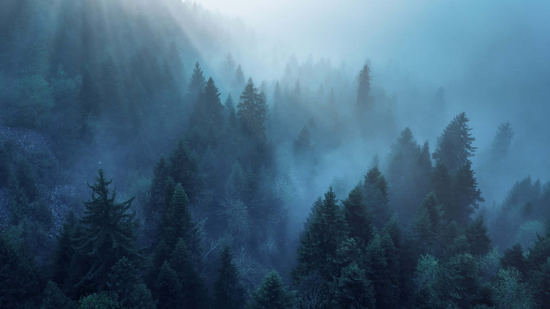 Foggy Aesthetic 桌布