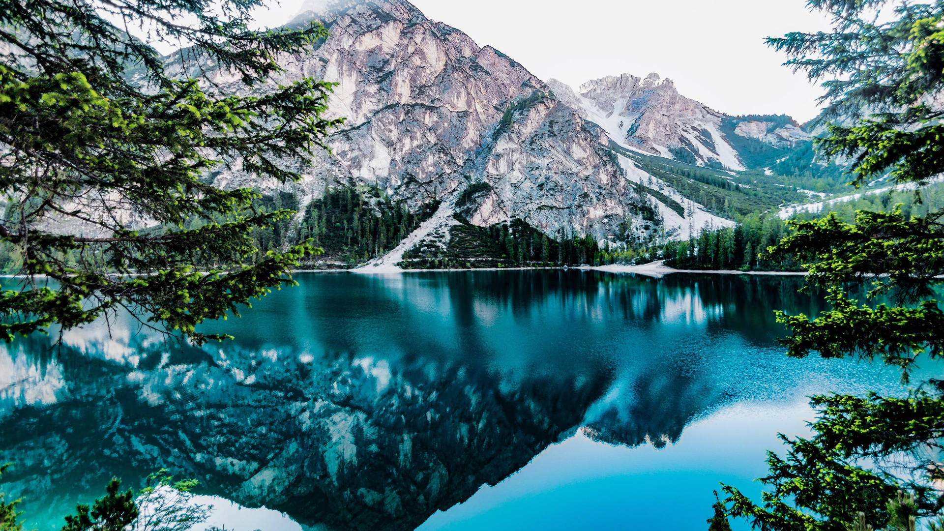 Forest Lake 桌布