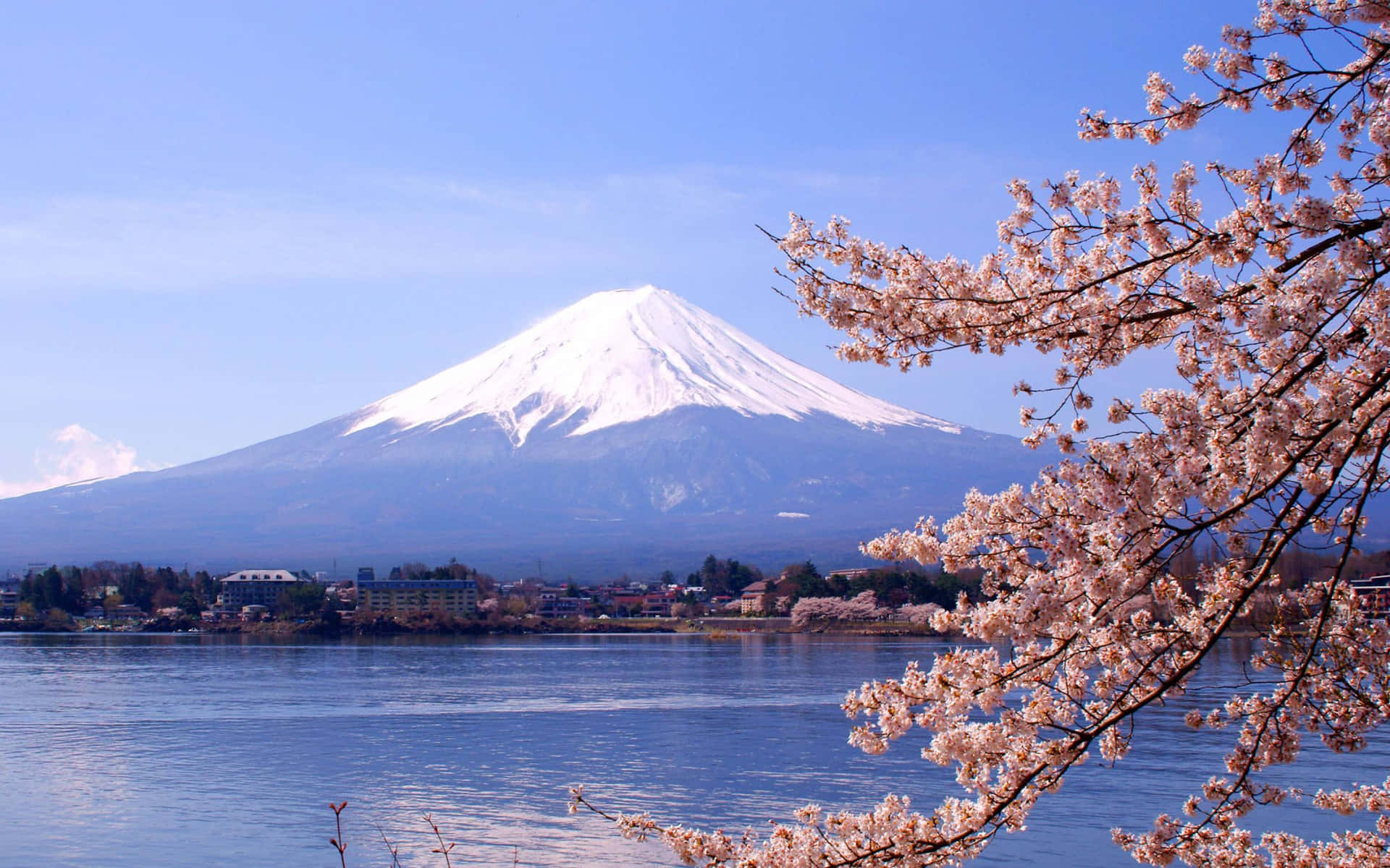 Fuji 桌布