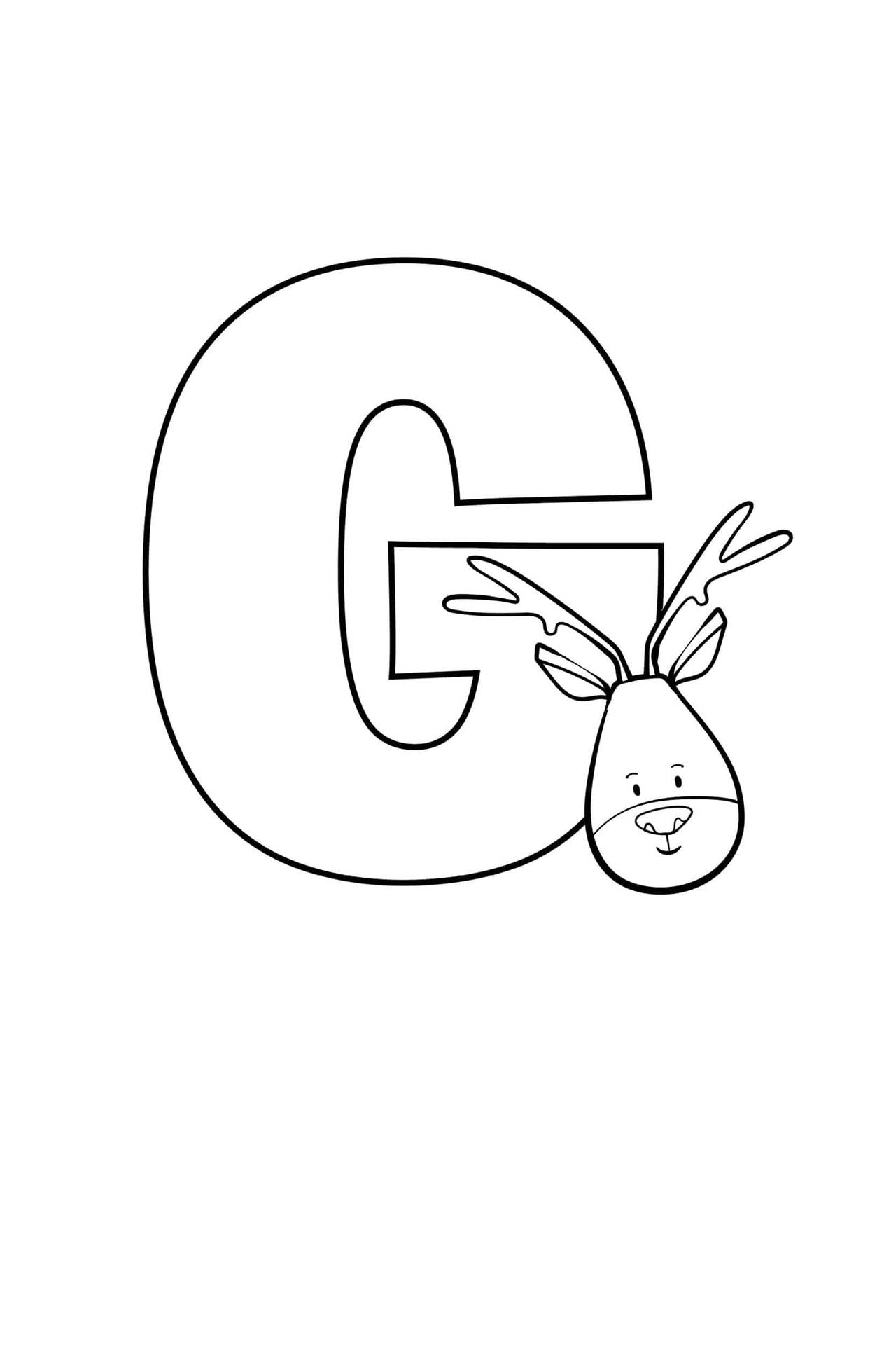 G 桌布