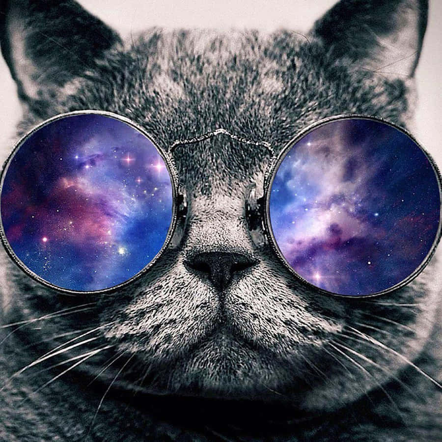 Galaxy Cat 桌布