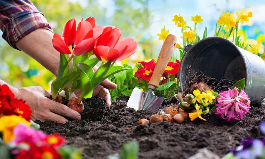 Gardening 桌布