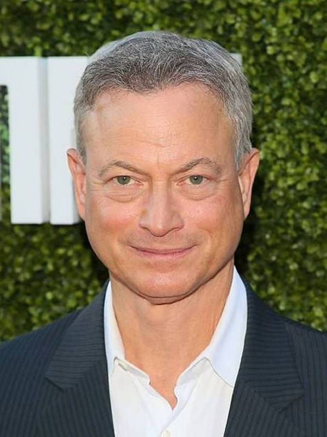 Gary Sinise 桌布
