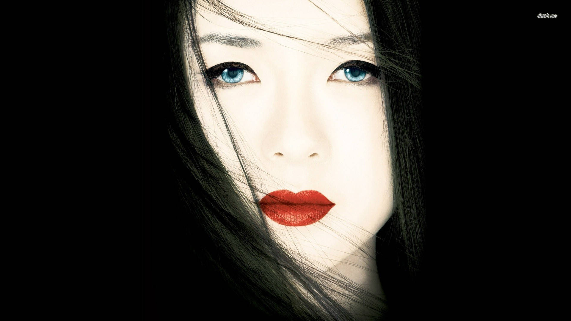 Geisha 桌布