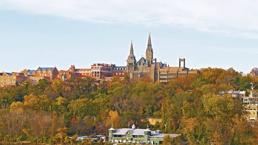 Georgetown 桌布