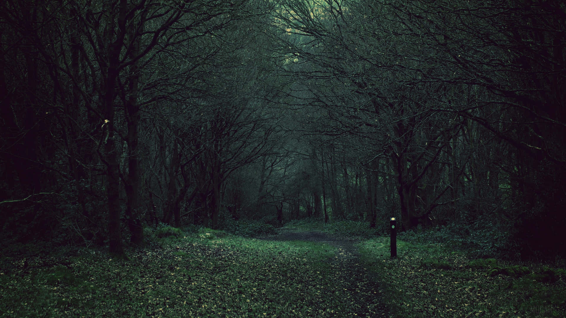 Gloomy 桌布