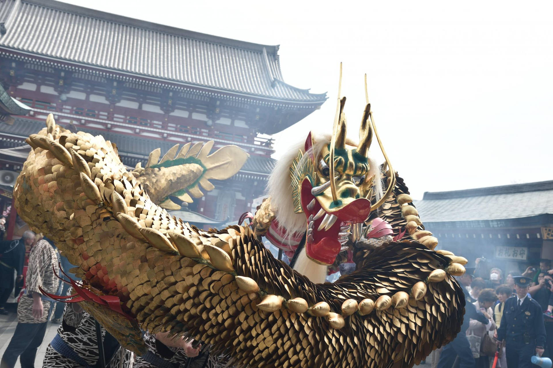 Gold dragon 桌布
