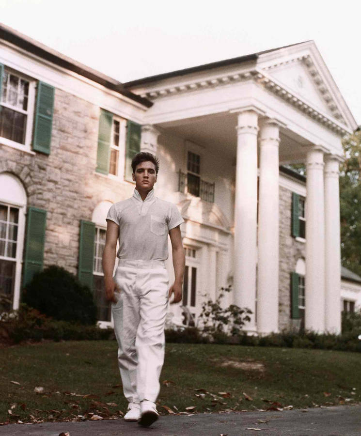 Graceland 桌布