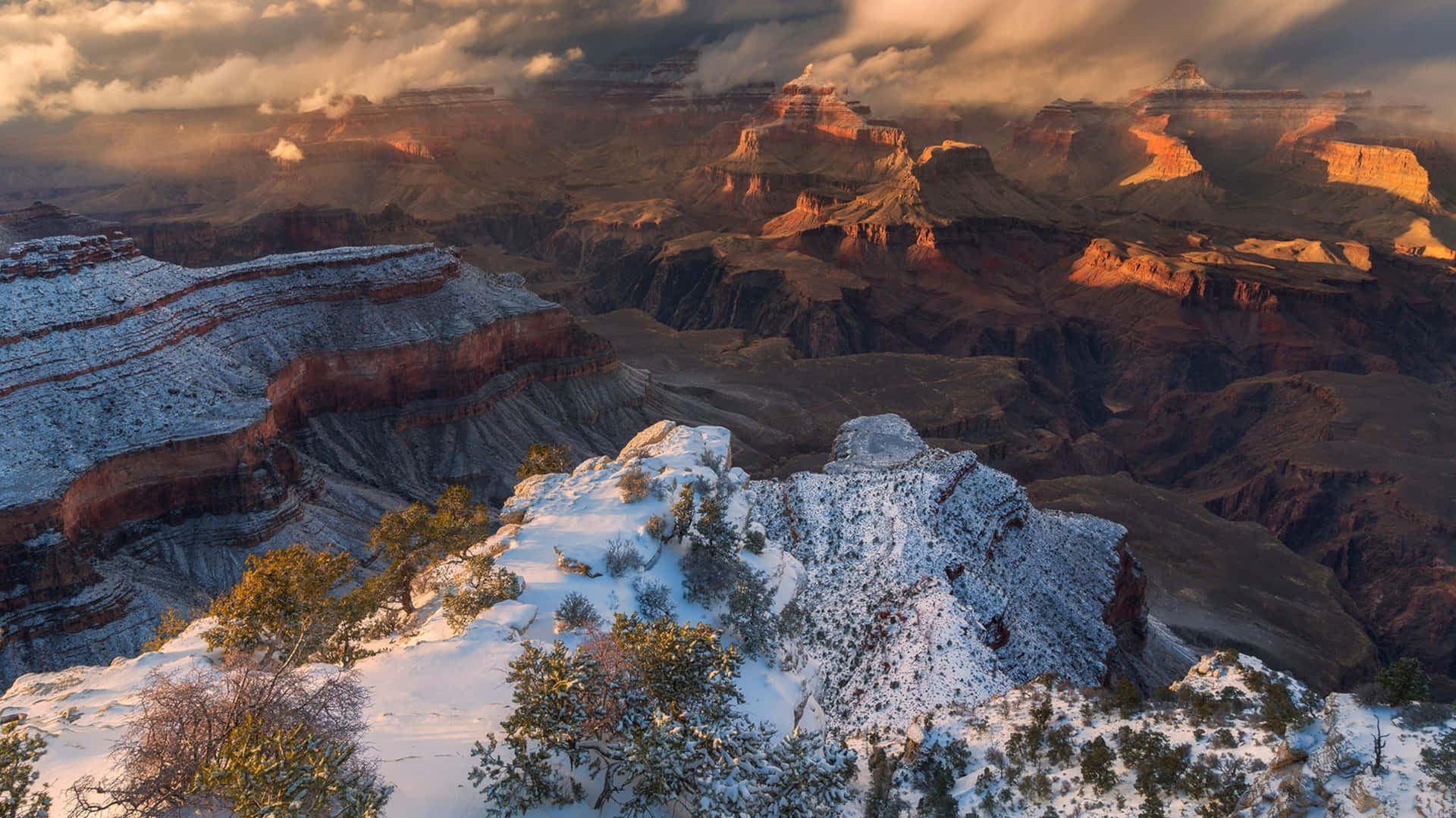 Grand Canyon National Park 桌布