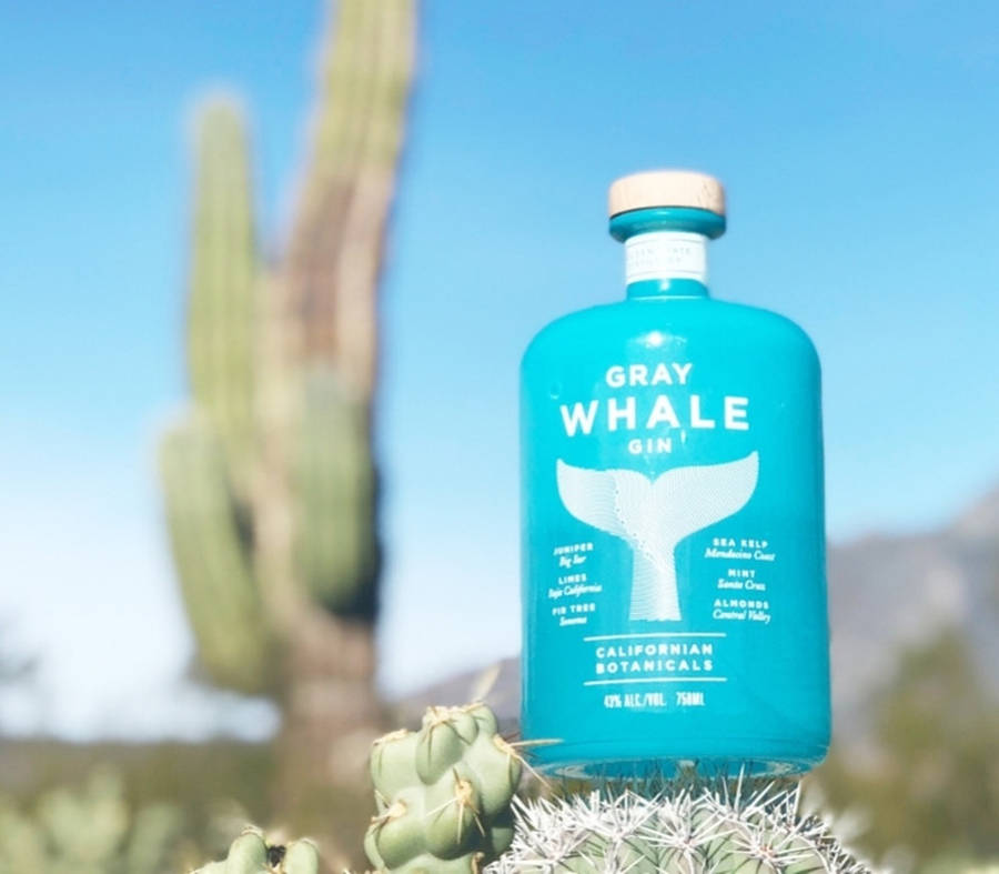 Gray Whale Gin 桌布