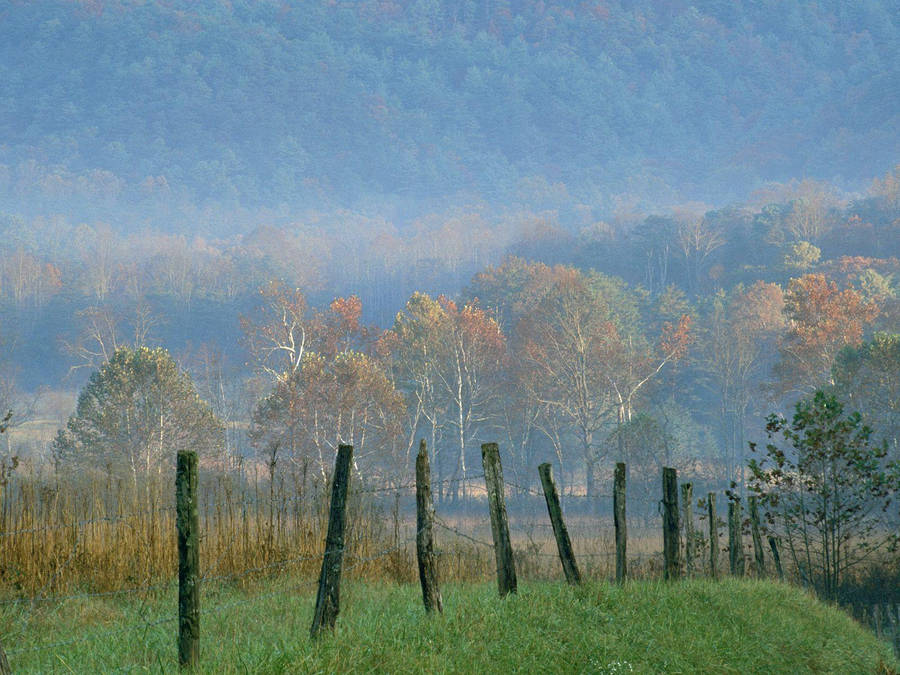 Great Smoky Mountains 桌布