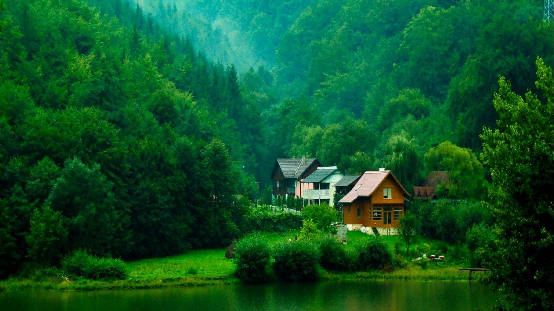 Transylvania Romania Green Nature Wallpapers 1920x1080