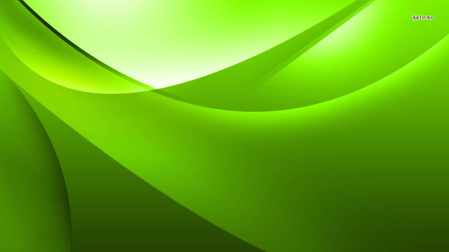 1366x768 Green Wallpaper