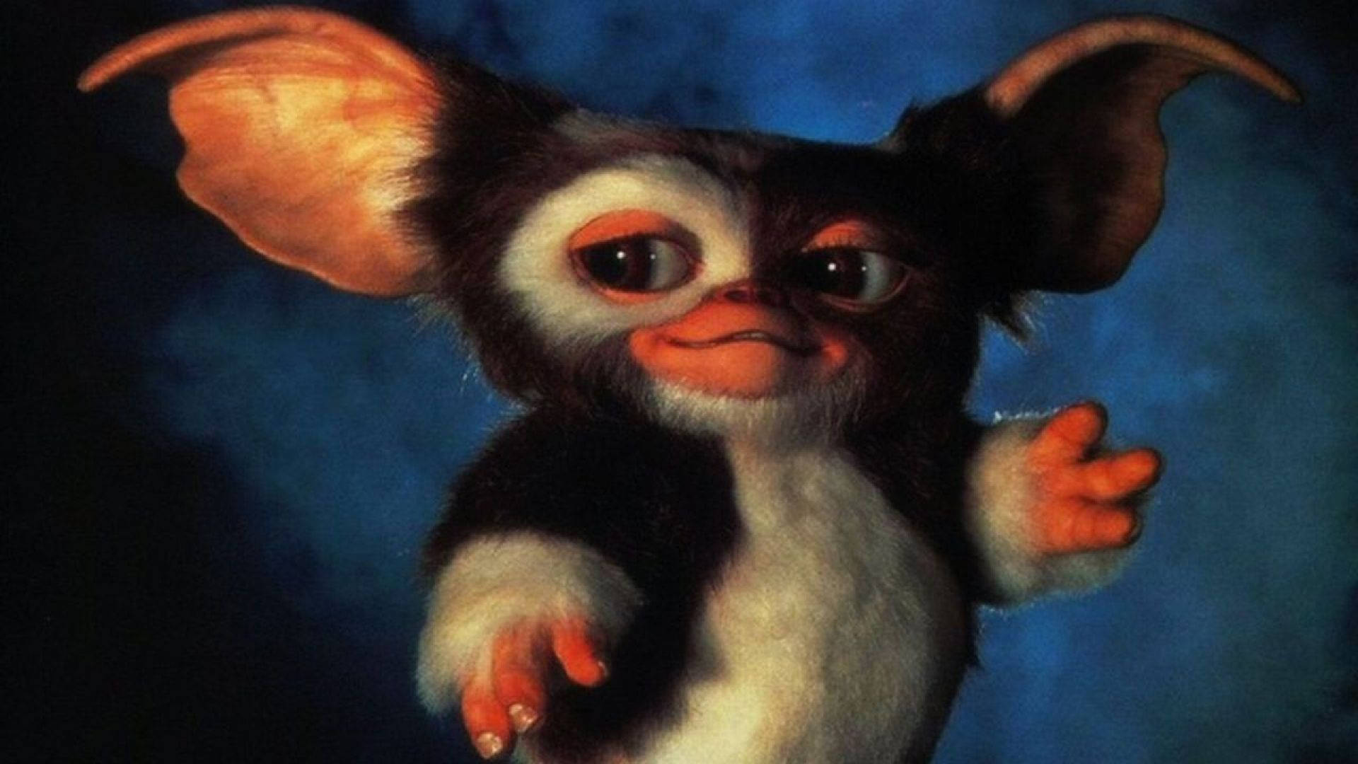Movie Gremlins 2: The New Batch Gizmo HD Wallpaper | Background Image
