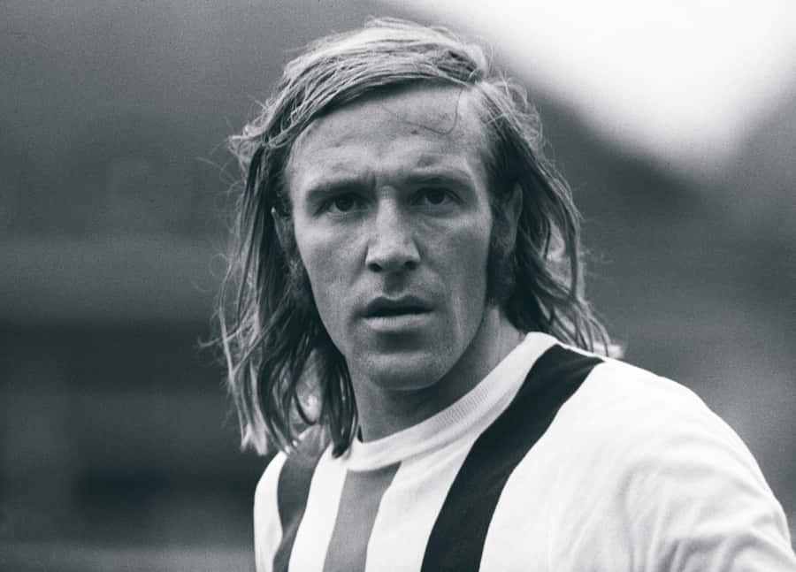 Gunter Netzer 桌布