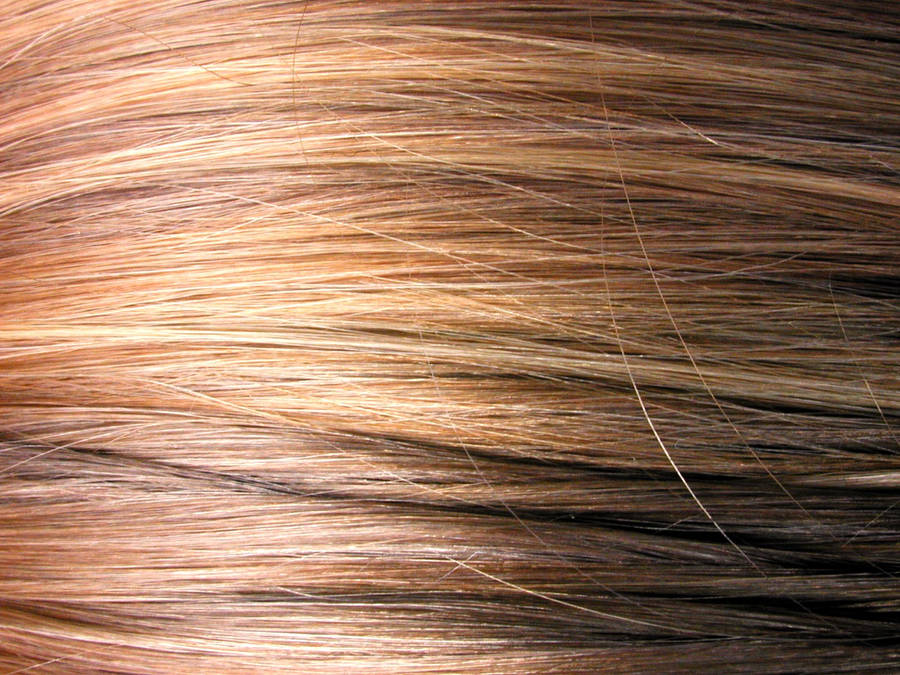 Hair 桌布