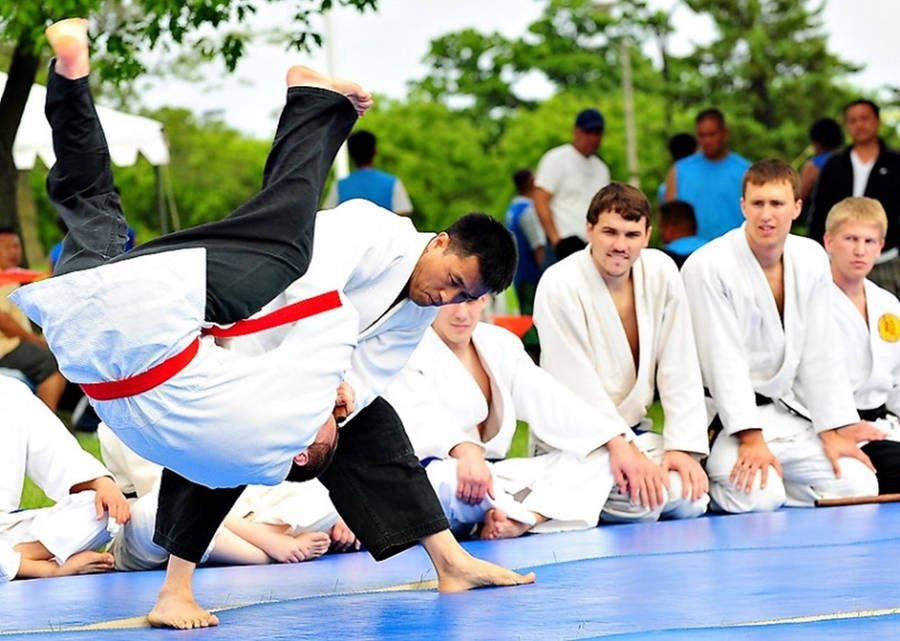 Hapkido 桌布