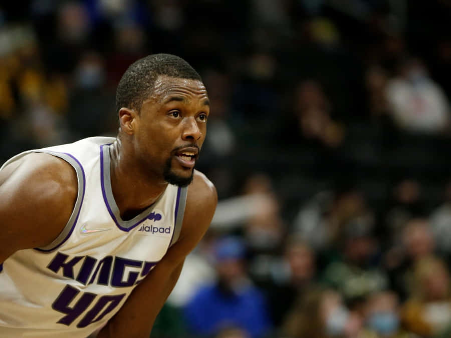 Harrison Barnes 桌布