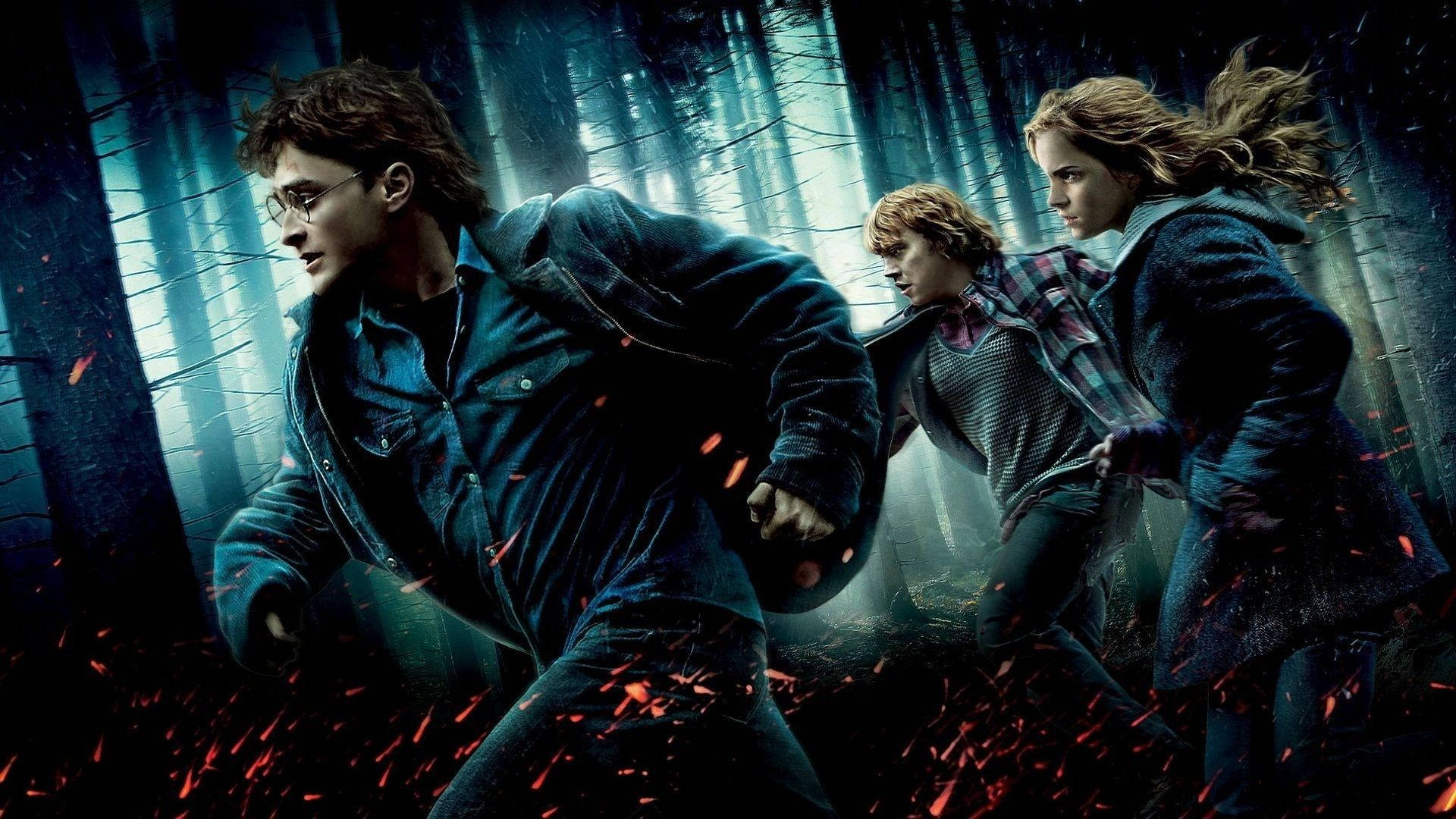 1920x1080 Harry Potter wallpaperDownload free stunning wallpaper