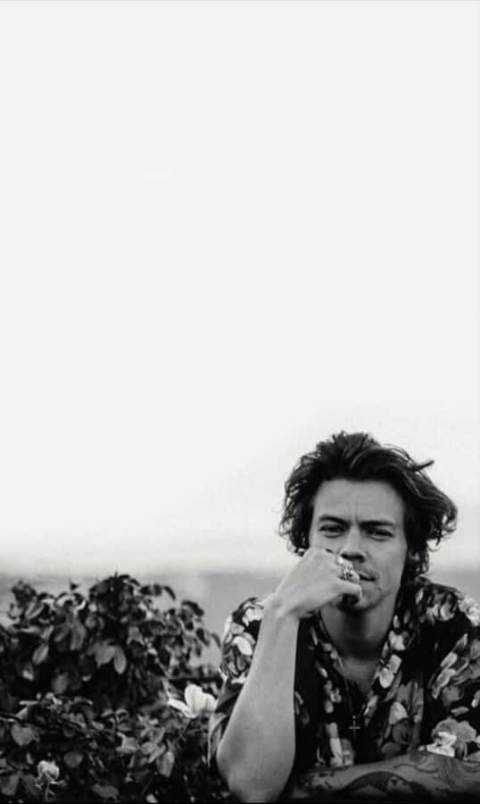 Harry Styles Black And White 桌布