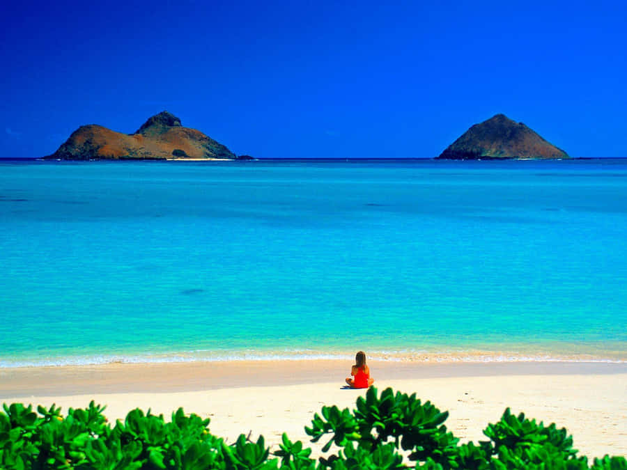 Hawaii Beach 桌布