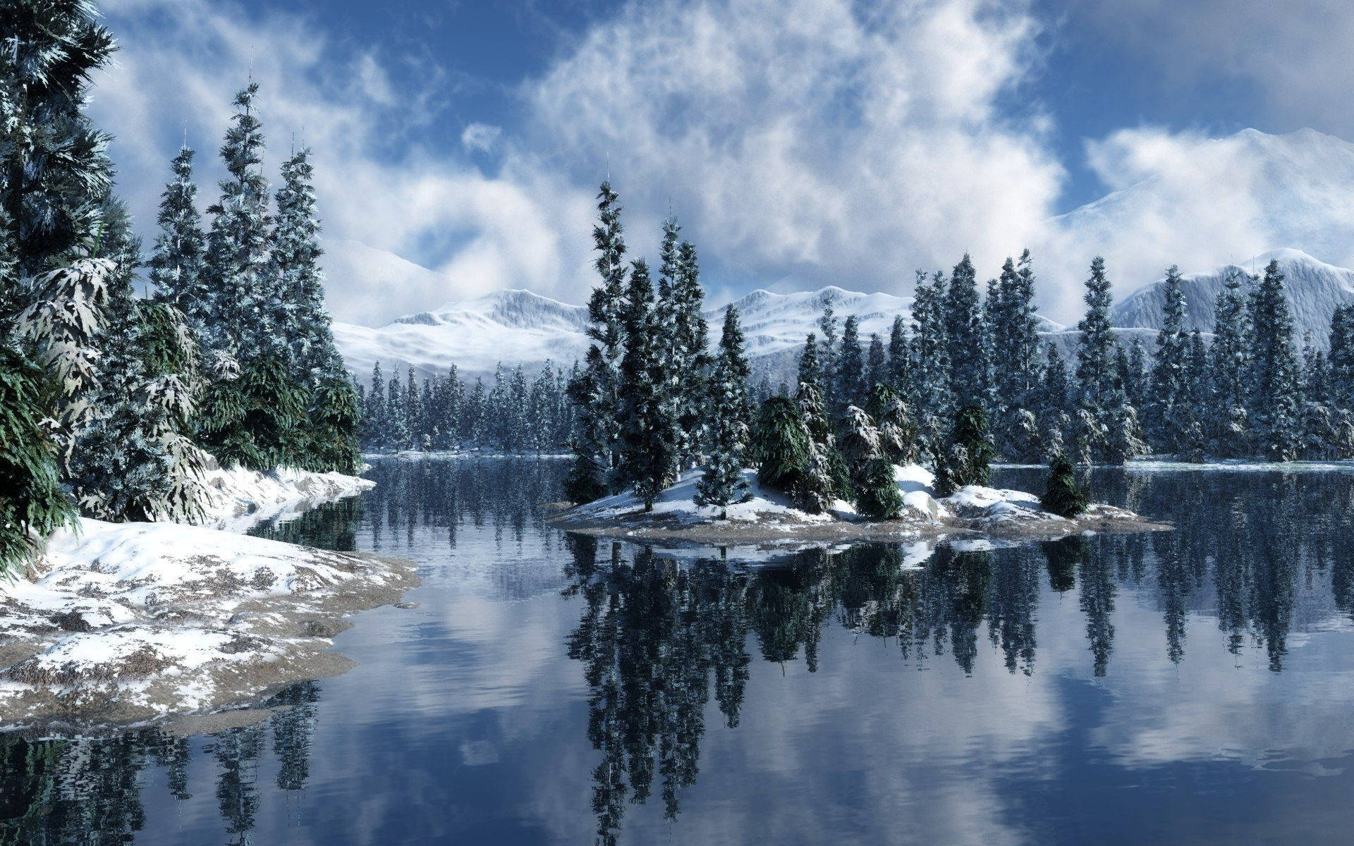 Snowy Pine Forest Wallpaper HD : Nature Wallpaper – Sprksam.com