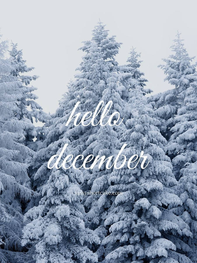 Hello December 桌布