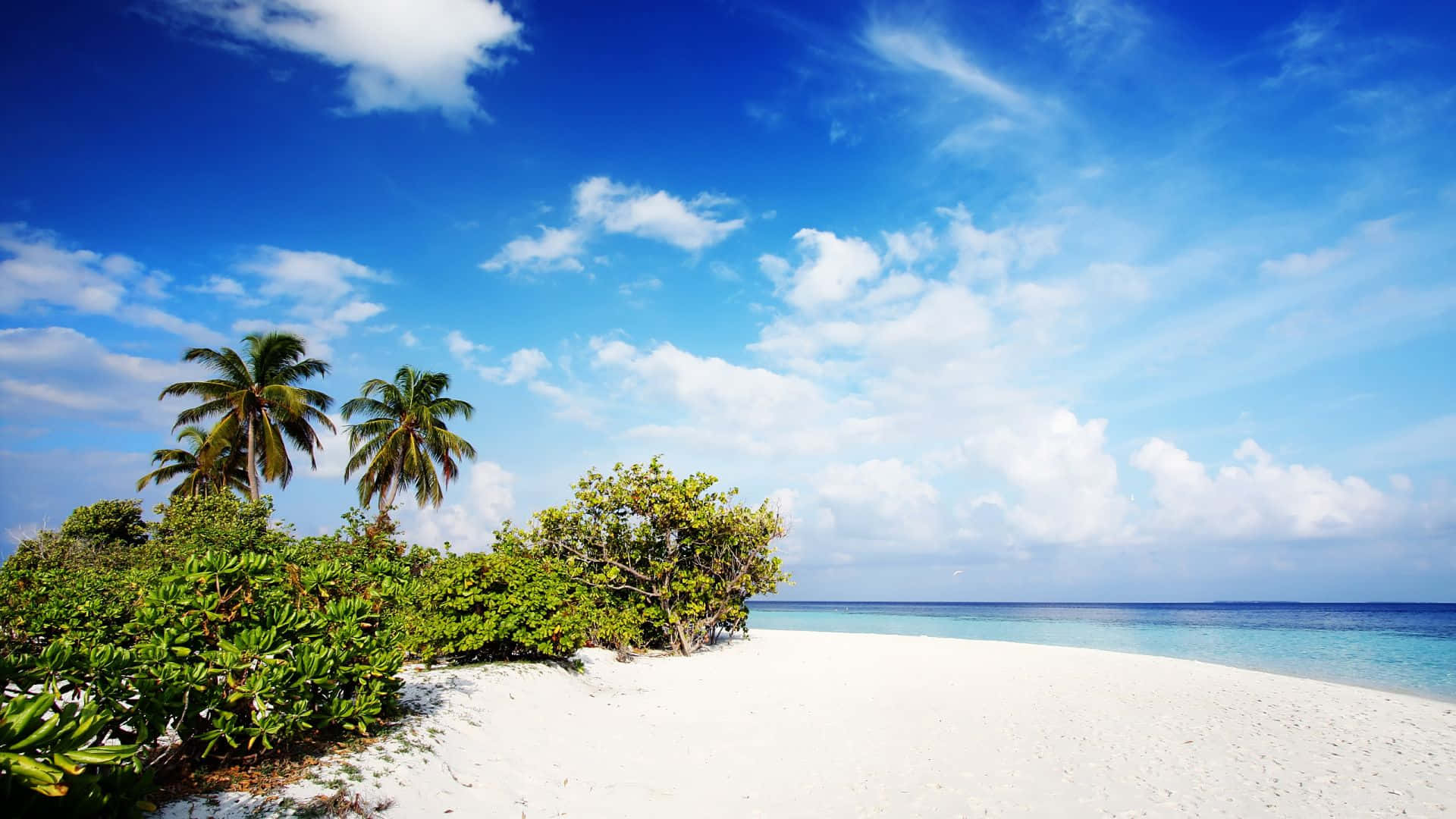 Hi Res Beach 桌布