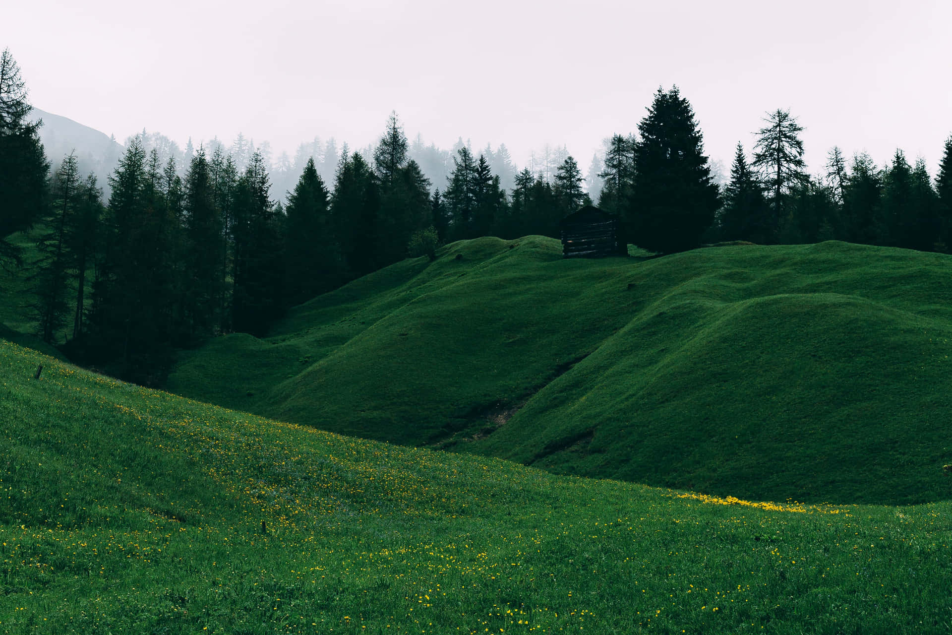 Hill 桌布