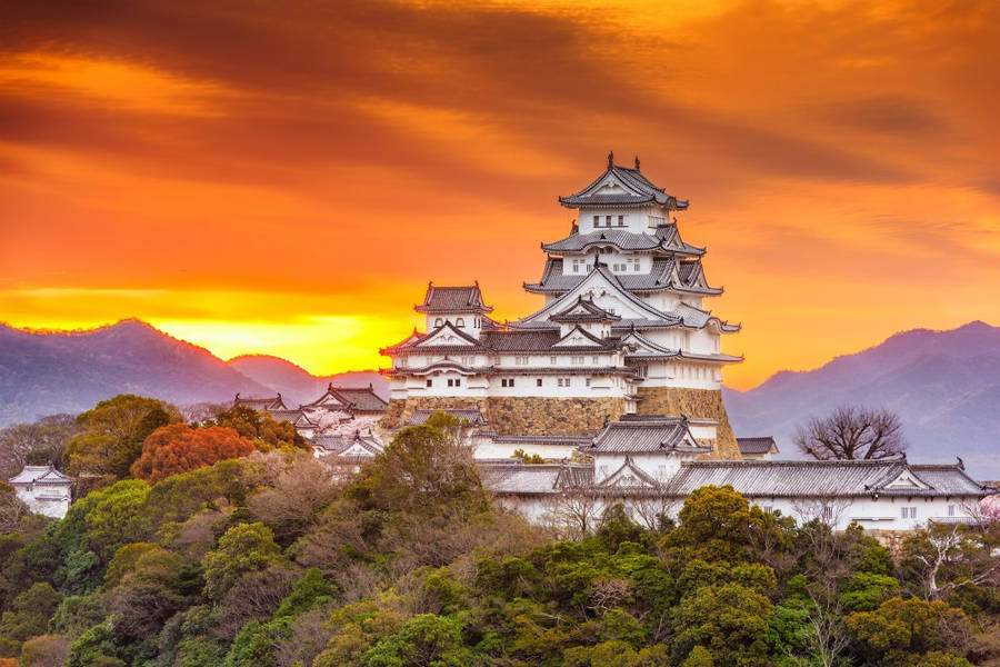 Himeji Castle 桌布