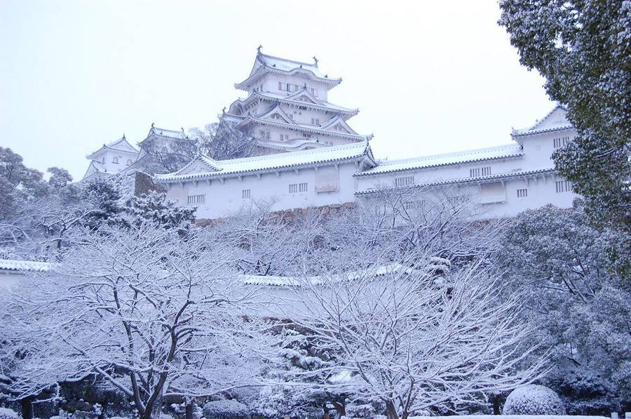 Himeji 桌布