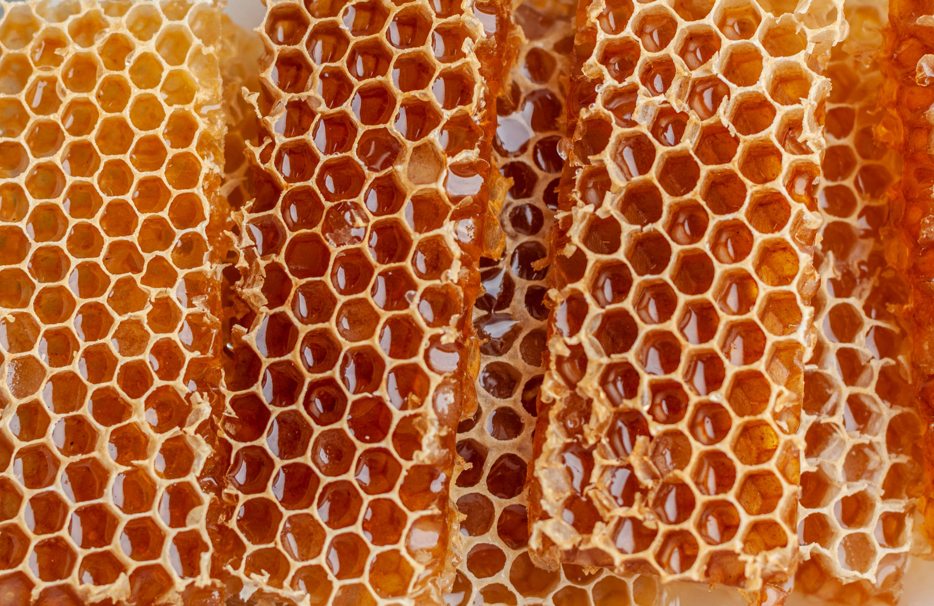 Honeycomb 桌布