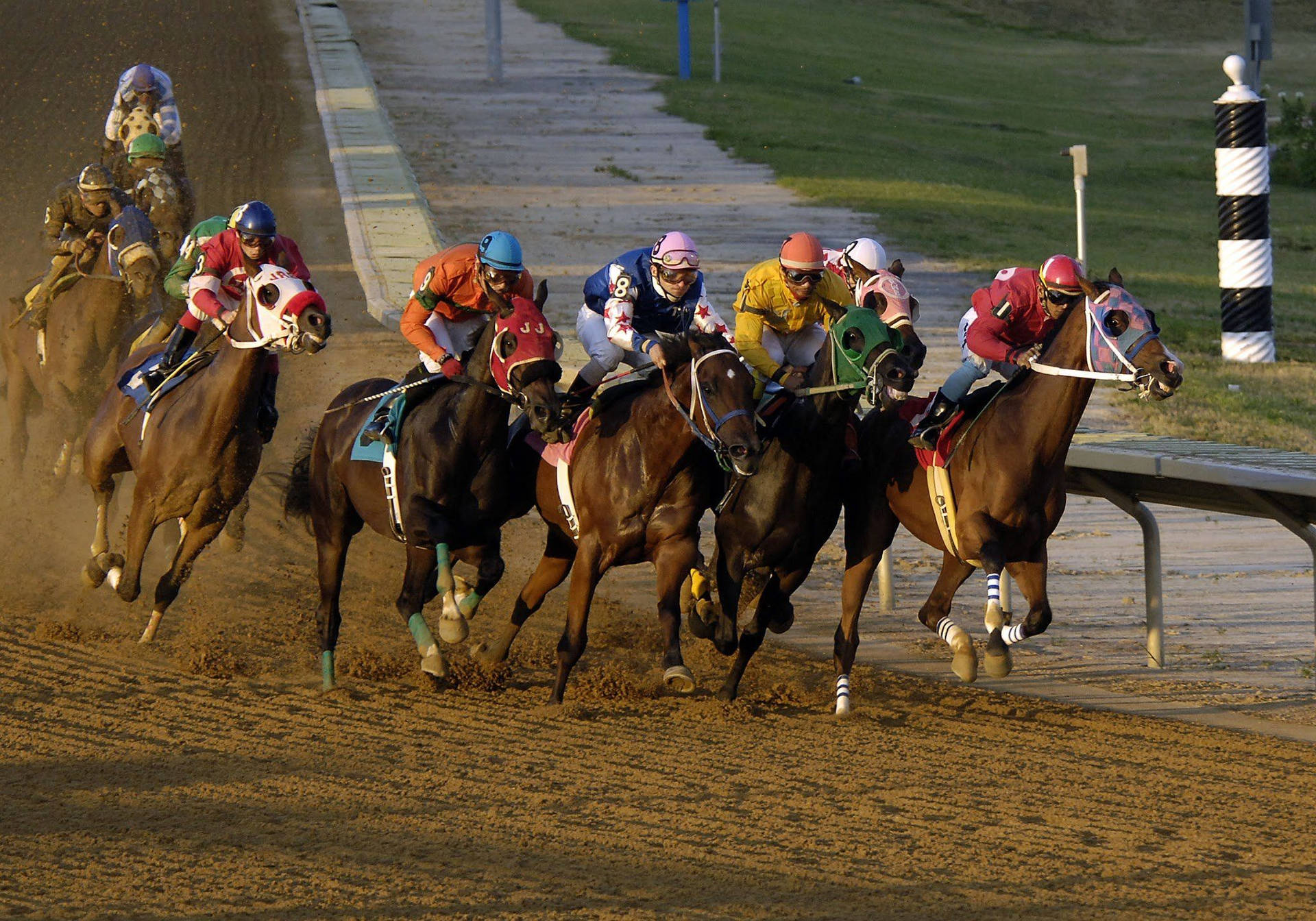 Horse racing 桌布