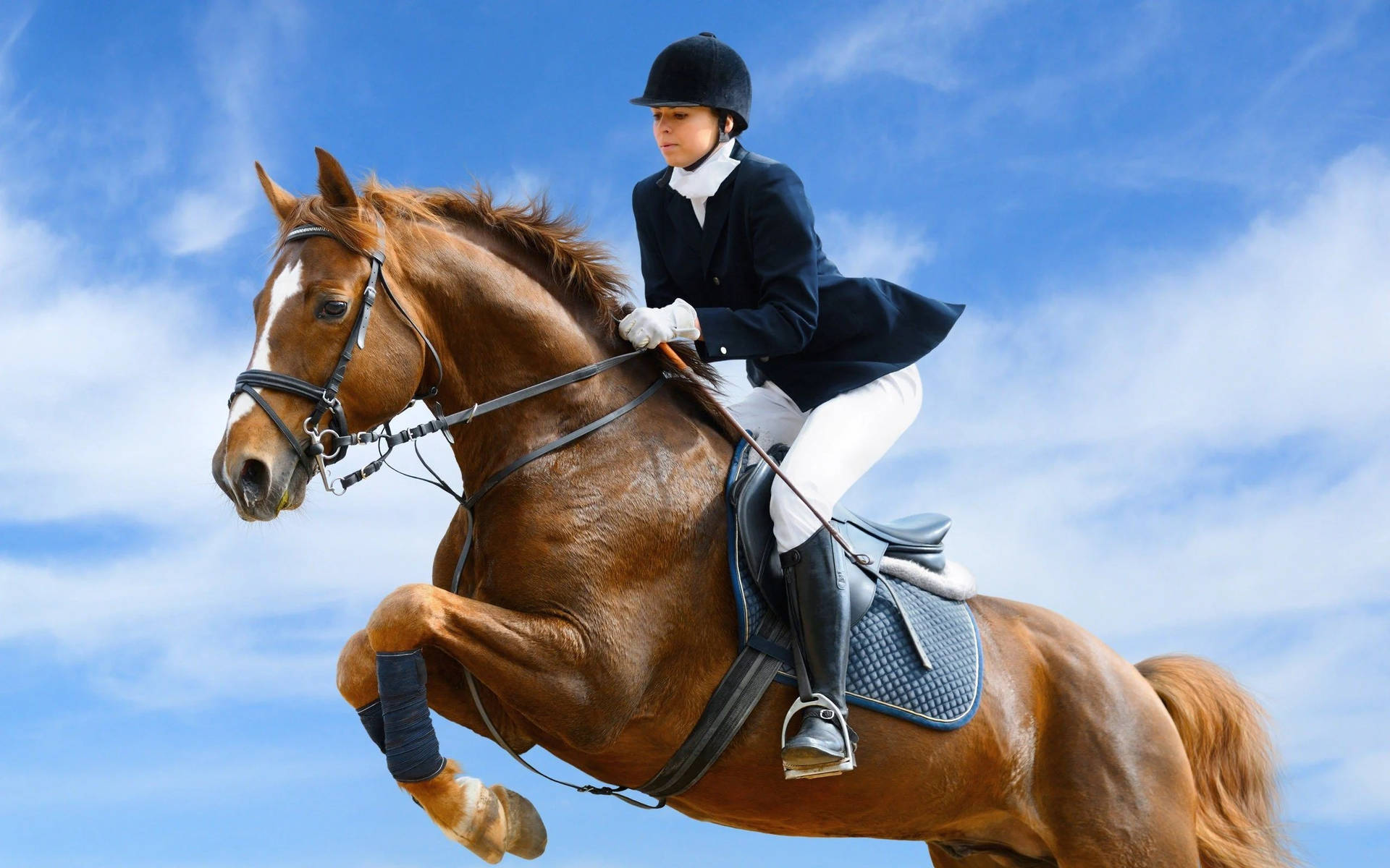 Horse Riding 桌布