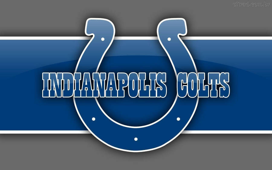 Indianapolis Colts 桌布
