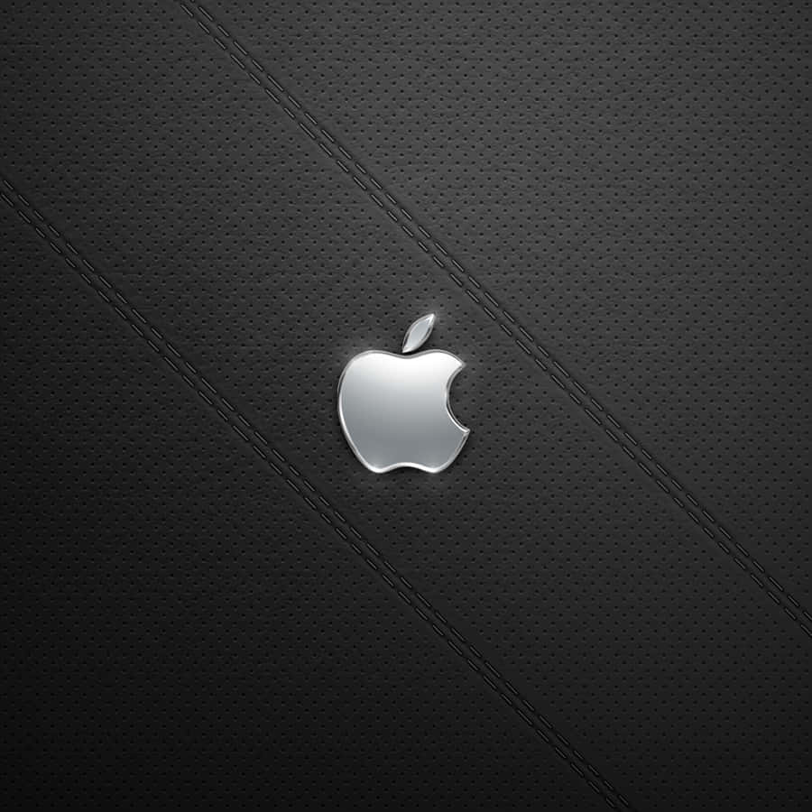 iPad 2 桌布