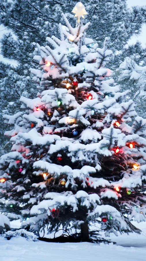 iPhone Christmas Snow 桌布