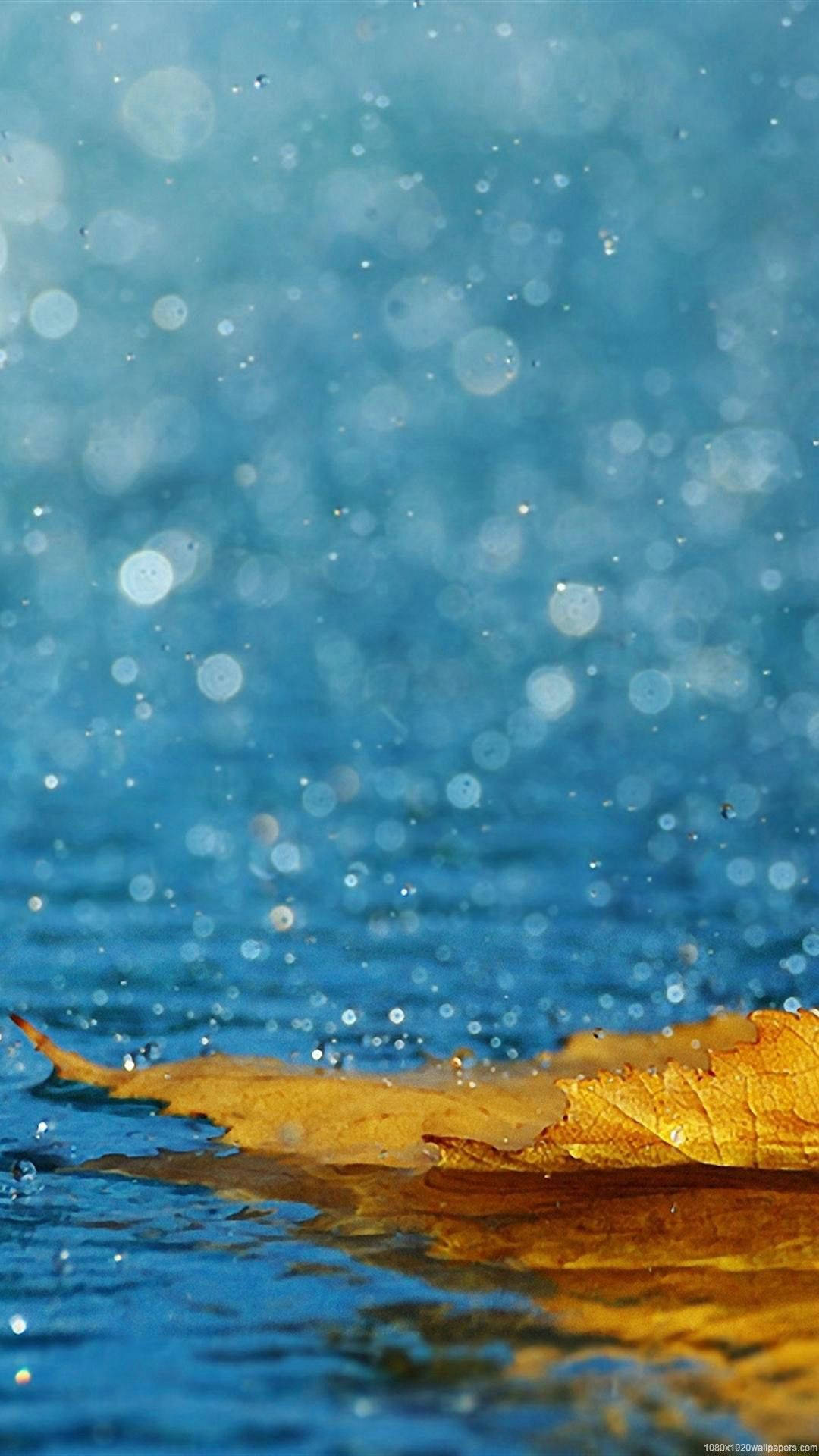 iPhone Rain 桌布