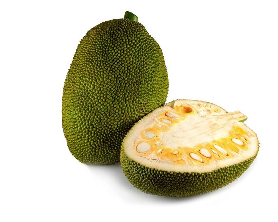 Jackfruit 桌布