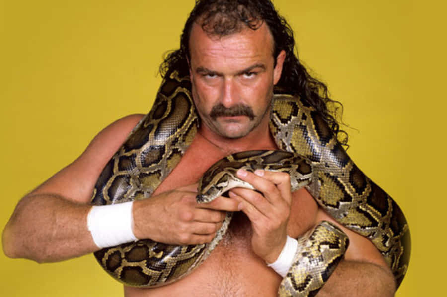 Jake Roberts 桌布