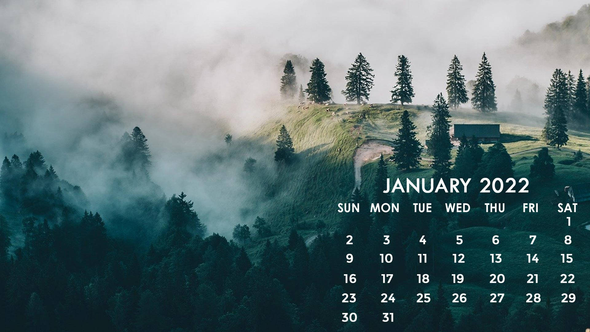 January 2022 Calendar 桌布