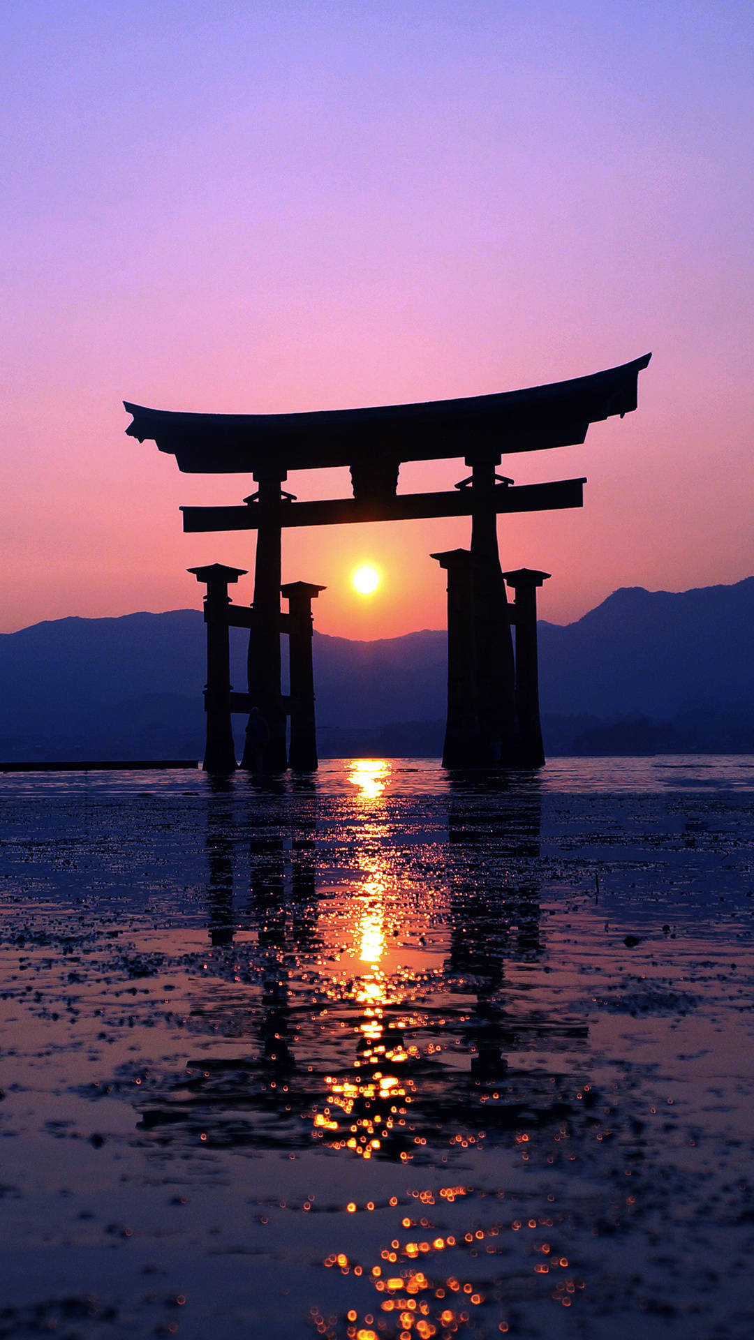 Japanese Aesthetic iPhone 桌布