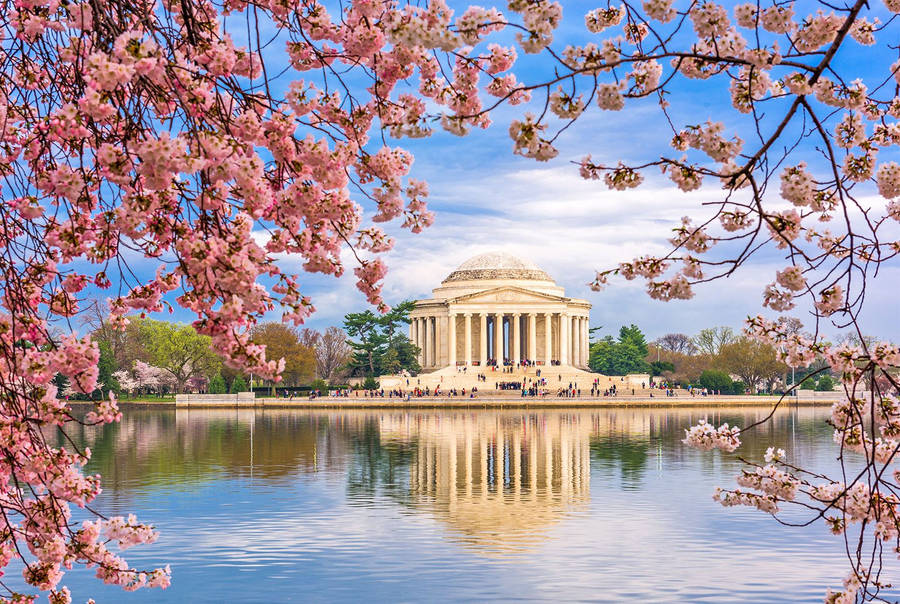 Jefferson Memorial 桌布
