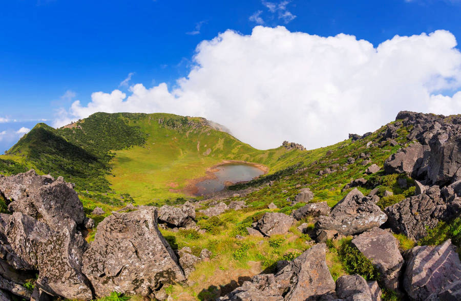 Jeju island 桌布