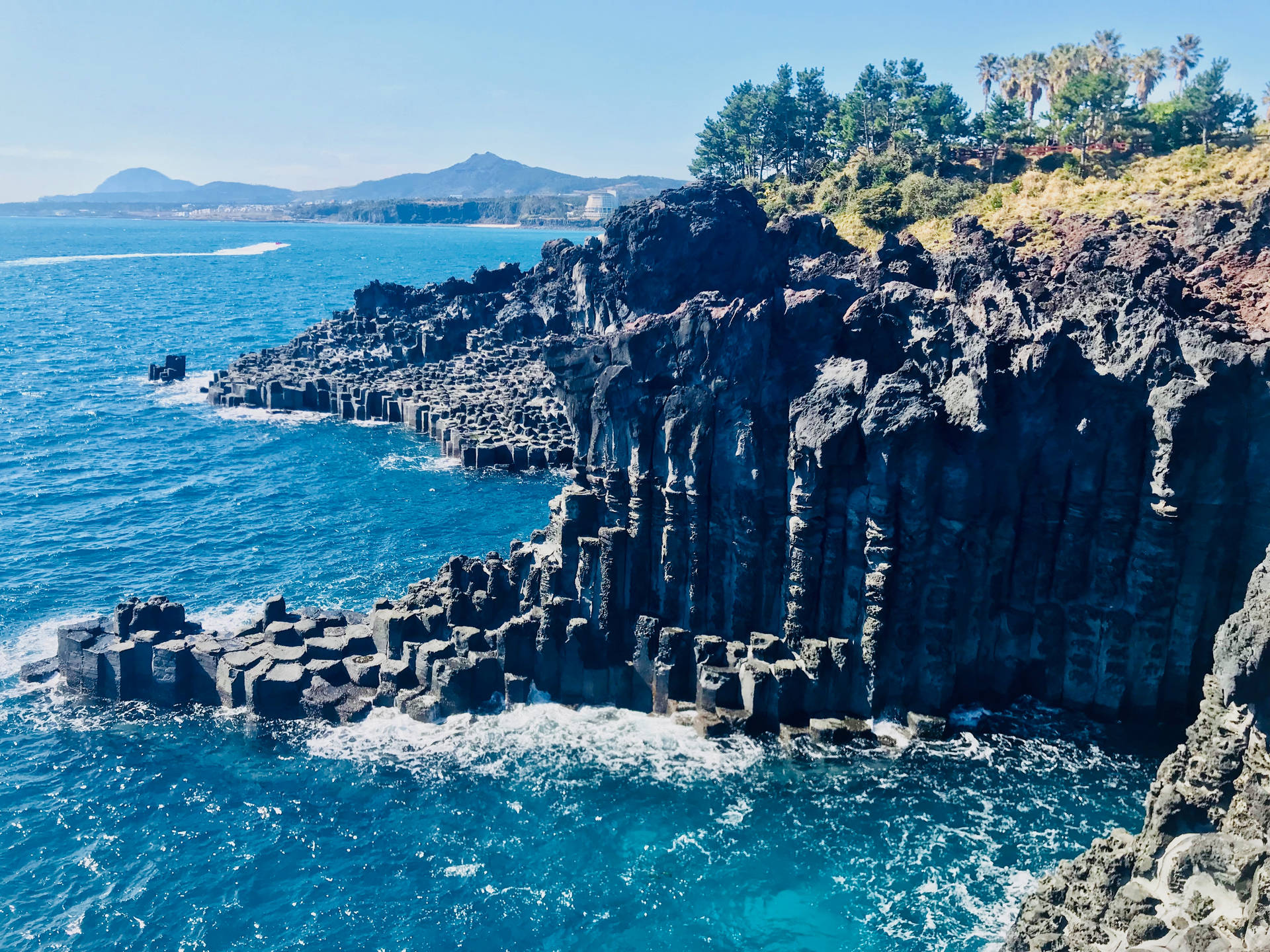 Jeju 桌布