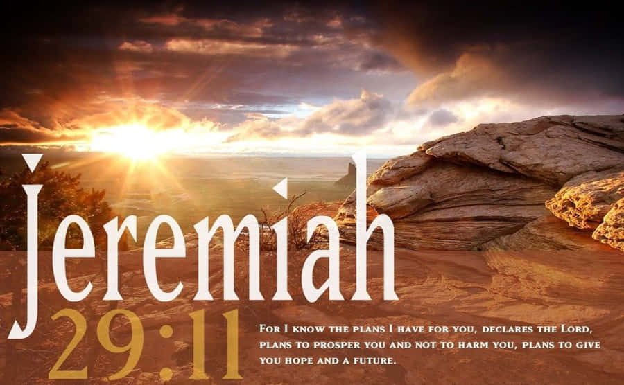 Jeremiah 2911 桌布