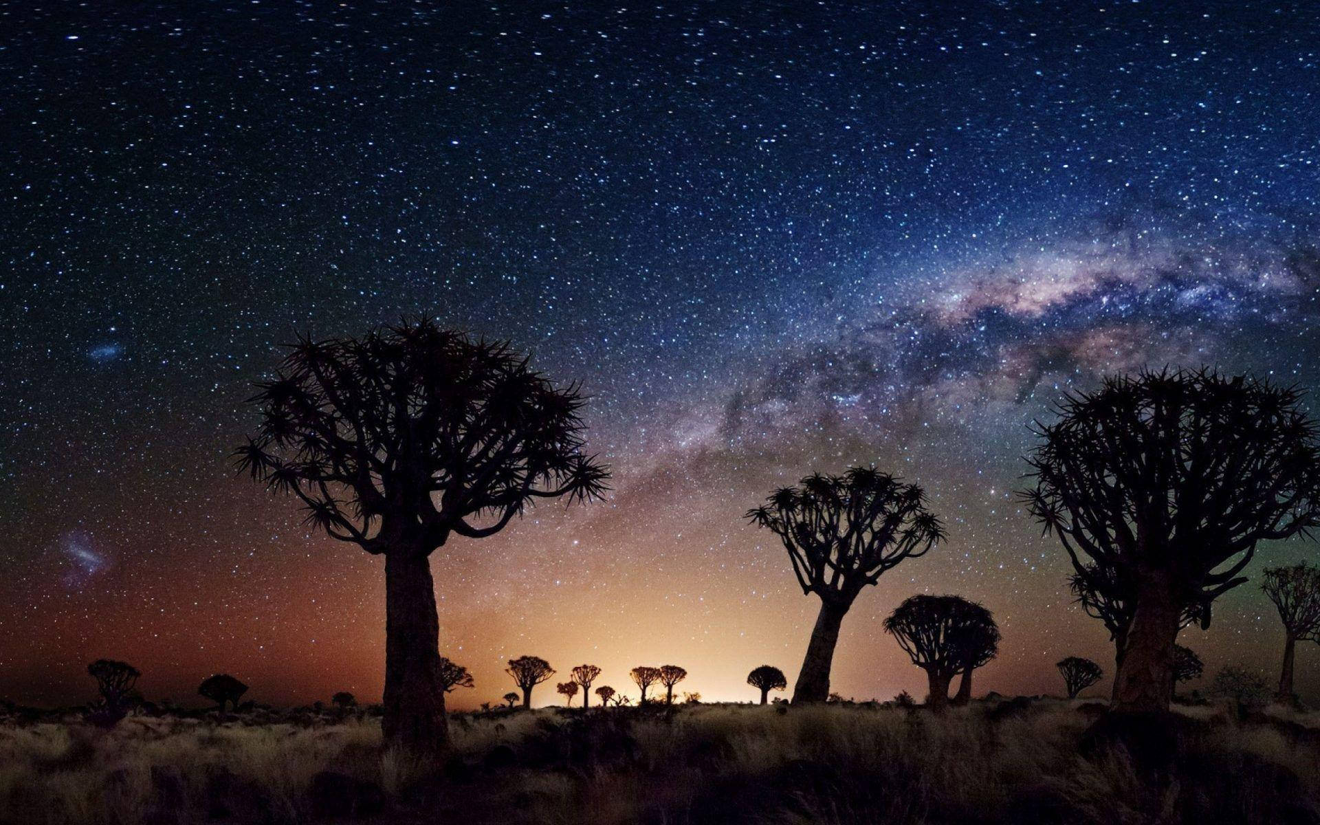 Joshua Tree National Park 桌布