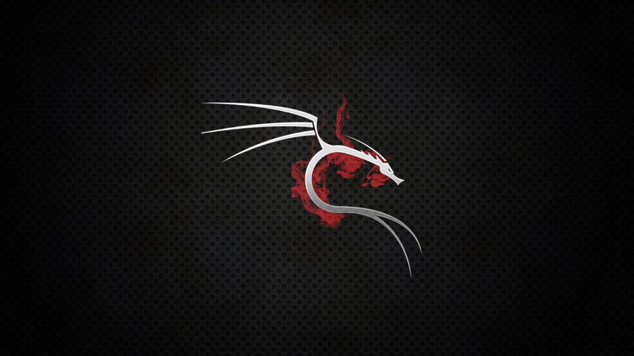 1366x768 Kali Linux Wallpaper 1920x1080