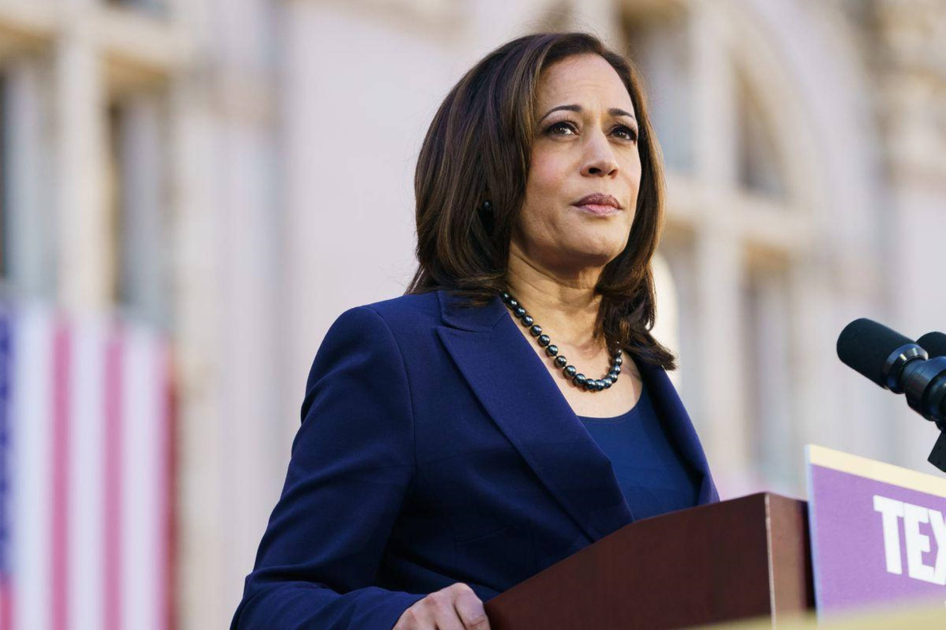 Kamala Harris 桌布